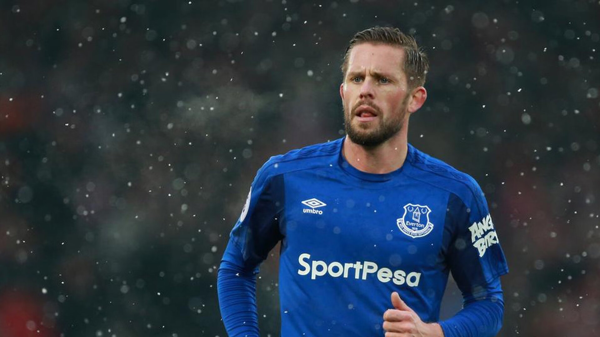 沃特福德整体配合默契，黄蜂军团抢分有望，沃特福德阵型